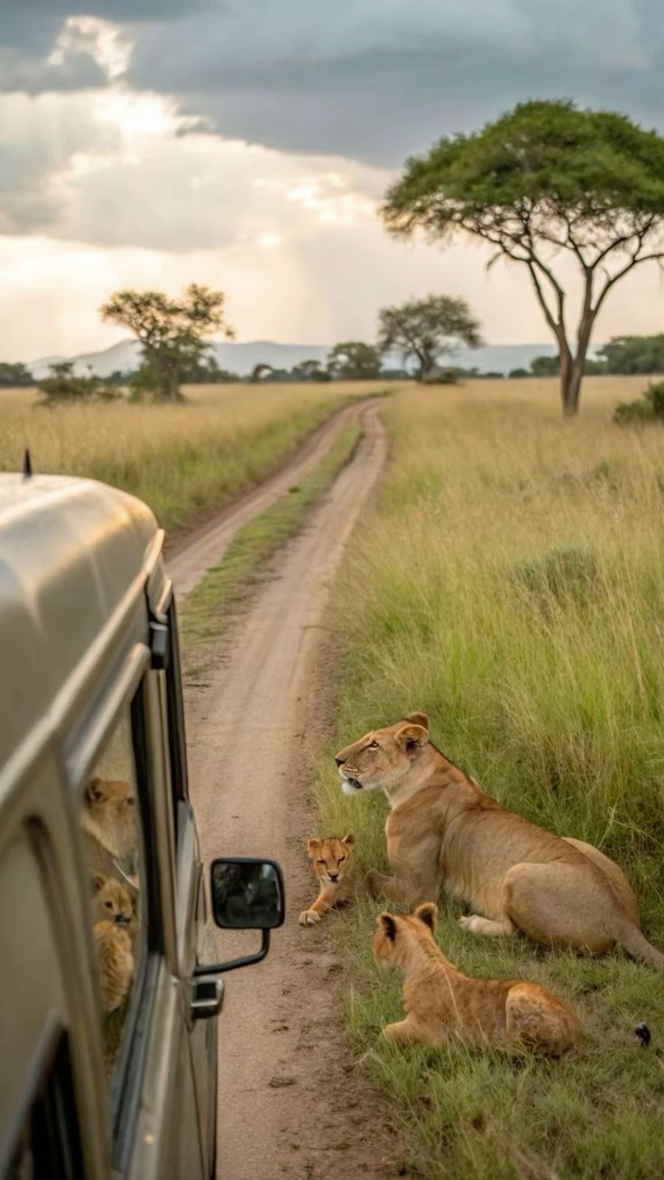 Uganda landscape